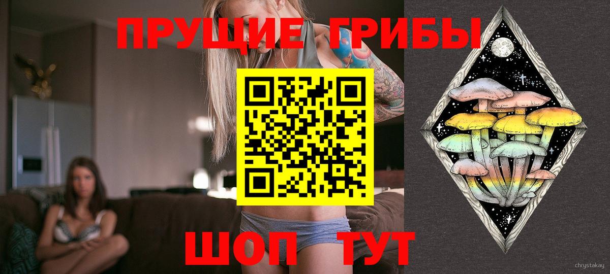 Жуковский  Галлюциногенные грибы Psilocybine cubensis  Вход с VPN 